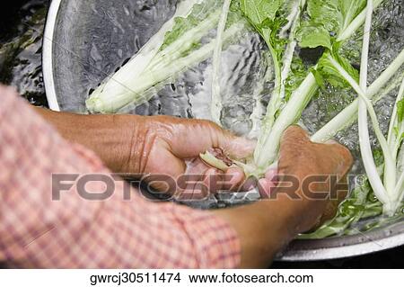 Picture - Mature man washing leaves with water, Emerald Valley, Huangshan, Anhui Province, China. Fotosearch
