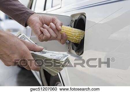 Person's hand putting a corn cob into the gas tank of a car View Large Photo Image Stock Image - Person's hand putting a corn cob into the gas tank of a car. Fotosearch
