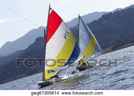 Sailboats participating in a race View Large Photo Image Picture - Sailboats participating in a race. Fotosearch