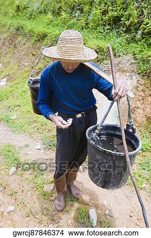Senior man carrying a buckets full of water on his shoulder, Jinkeng Terraced Field, Guangxi Province, China View Large Photo Image Picture - Senior man carrying a buckets full of water on his shoulder, Jinkeng Terraced Field, Guangxi Province, China. Fotosearch