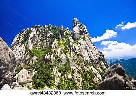 Trees on a mountain, Huangshan Mountains, Anhui Province, China View Large Photo Image Stock Image - Trees on a mountain, Huangshan Mountains, Anhui Province, China. Fotosearch