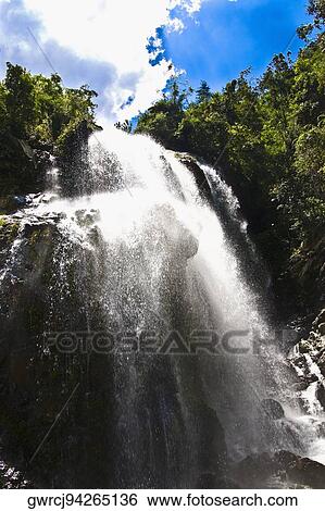 Stock Photograph - Waterfall in a forest, Jinkeng Terraced Field, Guangxi Province, China. Fotosearch