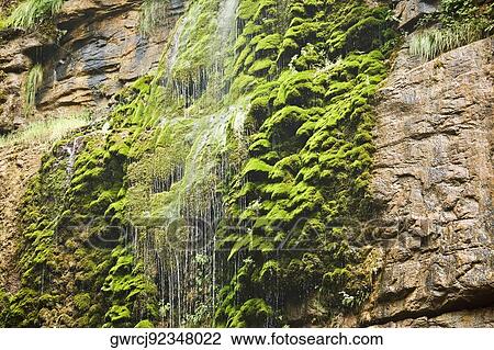 Waterfall on a mountain, Mt Yuntai, Jiaozuo, Henan Province, China View Large Photo Image Stock Image - Waterfall on a mountain, Mt Yuntai, Jiaozuo, Henan Province, China. Fotosearch