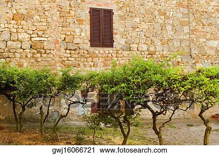 Backyard of a building, San Gimignano, Siena Province, Tuscany, Italy View Large Photo Image Stock Image - Backyard of a building, San Gimignano, Siena Province, Tuscany, Italy. Fotosearch