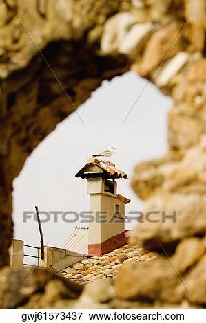 Bird perching on the top of a building viewed through an arch, Musee De La Castre, Cote d'Azur, Cannes, Provence-Alpes-Cote D'Azur, France View Large Photo Image Stock Photo - Bird perching on the top of a building viewed through an arch, Musee De La Castre, Cote d'Azur, Cannes, Provence-Alpes-Cote D'Azur, France. Fotosearch