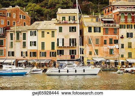 Boats at a harbor, Italian Riviera, Porticciolo, Portofino, Genoa, Liguria, Italy View Large Photo Image Picture - Boats at a harbor, Italian Riviera, Porticciolo, Portofino, Genoa, Liguria, Italy. Fotosearch