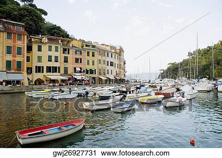 Boats at a harbor, Italian Riviera, Portofino, Genoa, Liguria, Italy View Large Photo Image Stock Image - Boats at a harbor, Italian Riviera, Portofino, Genoa, Liguria, Italy. Fotosearch
