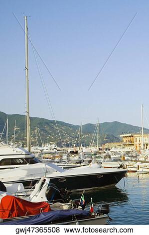 Boats at a harbor, Italian Riviera, Santa Margherita Ligure, Genoa, Liguria, Italy View Large Photo Image Stock Photo - Boats at a harbor, Italian Riviera, Santa Margherita Ligure, Genoa, Liguria, Italy. Fotosearch