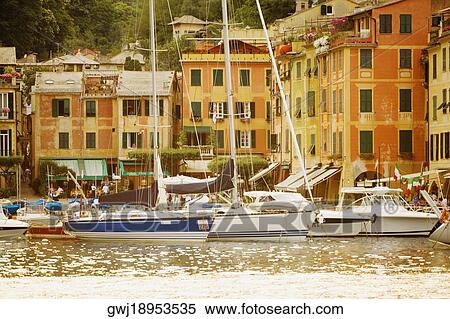 Boats at a harbor, Italian Riviera, Porticciolo, Portofino, Genoa, Liguria, Italy View Large Photo Image Stock Photography - Boats at a harbor, Italian Riviera, Porticciolo, Portofino, Genoa, Liguria, Italy. Fotosearch