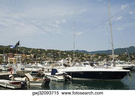 Boats at a harbor, Italian Riviera, Santa Margherita Ligure, Genoa, Liguria, Italy View Large Photo Image Stock Photography - Boats at a harbor, Italian Riviera, Santa Margherita Ligure, Genoa, Liguria, Italy. Fotosearch