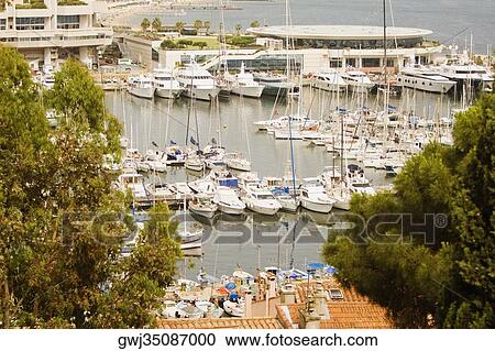 Boats at a harbor, Vieux Port, Cote d'Azur, Cannes, Provence-Alpes-Cote D'Azur, France View Large Photo Image Stock Image - Boats at a harbor, Vieux Port, Cote d'Azur, Cannes, Provence-Alpes-Cote D'Azur, France. Fotosearch