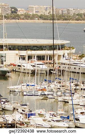 Stock Photo - Boats at a harbor, Vieux Port, Cote d'Azur, Cannes, Provence-Alpes-Cote D'Azur, France. Fotosearch
