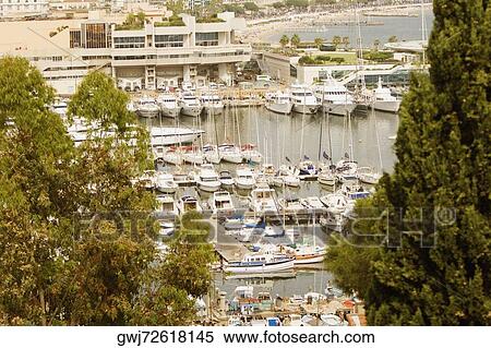 Stock Photography - Boats at a harbor, Vieux Port, Cote d'Azur, Cannes, Provence-Alpes-Cote D'Azur, France. Fotosearch