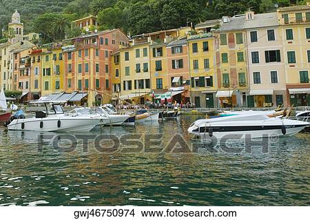 Boats moored at a harbor, Italian Riviera, Portofino, Genoa, Liguria, Italy View Large Photo Image Picture - Boats moored at a harbor, Italian Riviera, Portofino, Genoa, Liguria, Italy. Fotosearch