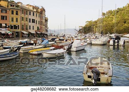 Boats moored at a harbor, Italian Riviera, Portofino, Genoa, Liguria, Italy View Large Photo Image Stock Image - Boats moored at a harbor, Italian Riviera, Portofino, Genoa, Liguria, Italy. Fotosearch