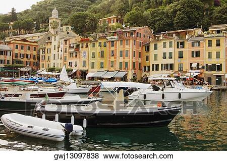 Boats moored at a harbor, Italian Riviera, Portofino, Genoa, Liguria, Italy View Large Photo Image Stock Photo - Boats moored at a harbor, Italian Riviera, Portofino, Genoa, Liguria, Italy. Fotosearch