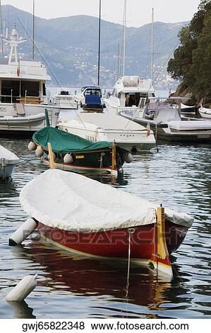 Boats moored at a harbor, Italian Riviera, Portofino, Genoa, Liguria, Italy View Large Photo Image Stock Photo - Boats moored at a harbor, Italian Riviera, Portofino, Genoa, Liguria, Italy. Fotosearch