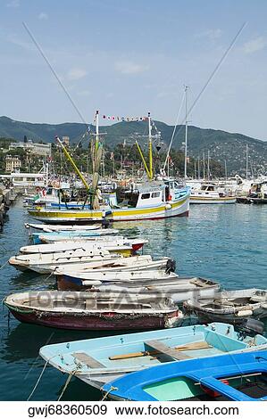 Stock Photo - Boats moored at a harbor, Italian Riviera, Santa Margherita Ligure, Genoa, Liguria, Italy. Fotosearch