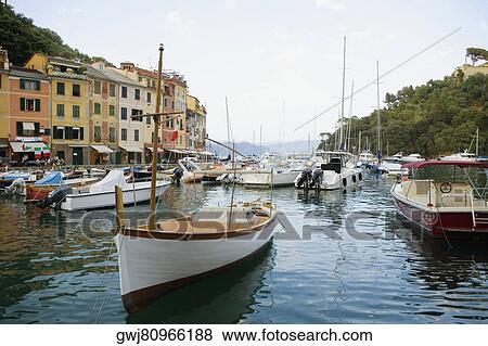 Boats moored at a harbor, Italian Riviera, Portofino, Genoa, Liguria, Italy View Large Photo Image Stock Photo - Boats moored at a harbor, Italian Riviera, Portofino, Genoa, Liguria, Italy. Fotosearch