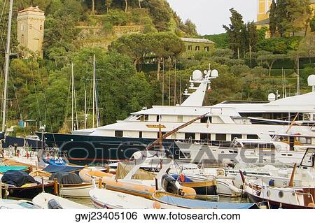 Boats moored at a harbor, Italian Riviera, Portofino, Genoa, Liguria, Italy View Large Photo Image Stock Photograph - Boats moored at a harbor, Italian Riviera, Portofino, Genoa, Liguria, Italy. Fotosearch
