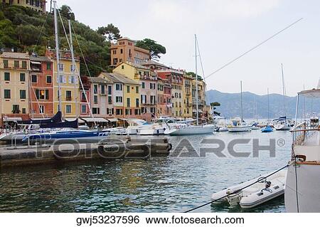 Boats moored at a harbor, Italian Riviera, Portofino, Genoa, Liguria, Italy View Large Photo Image Stock Photograph - Boats moored at a harbor, Italian Riviera, Portofino, Genoa, Liguria, Italy. Fotosearch