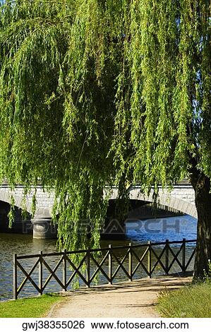 Stock Photograph - Bridge over a river, Le Mans, Sarthe, Pays-de-la-Loire, France. Fotosearch