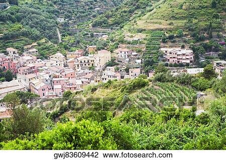 Buildings in a town, Ligurian Sea, Italian Riviera, Monterosso al Mare, Cinque Terre, La Spezia, Liguria, Italy View Large Photo Image Stock Image - Buildings in a town, Ligurian Sea, Italian Riviera, Monterosso al Mare, Cinque Terre, La Spezia, Liguria, Italy. Fotosearch