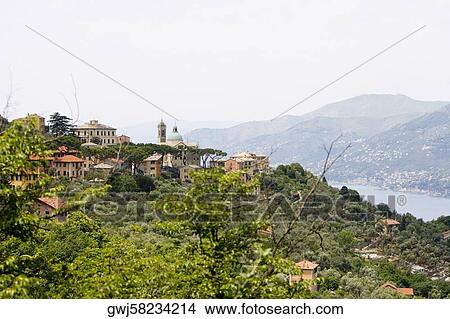 Buildings on a hill, Italian Riviera, Liguria, Italy View Large Photo Image Picture - Buildings on a hill, Italian Riviera, Liguria, Italy. Fotosearch