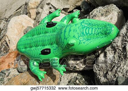 Close-up of a crocodile float, Cinque Terre National Park, RioMaggiore, Cinque Terre, La Spezia, Liguria, Italy View Large Photo Image Stock Image - Close-up of a crocodile float, Cinque Terre National Park, RioMaggiore, Cinque Terre, La Spezia, Liguria, Italy. Fotosearch