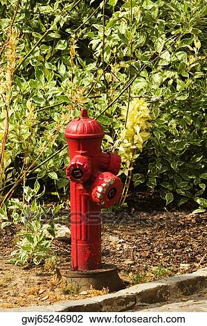 Close-up of a fire hydrant, Le Mans, France View Large Photo Image Stock Image - Close-up of a fire hydrant, Le Mans, France. Fotosearch