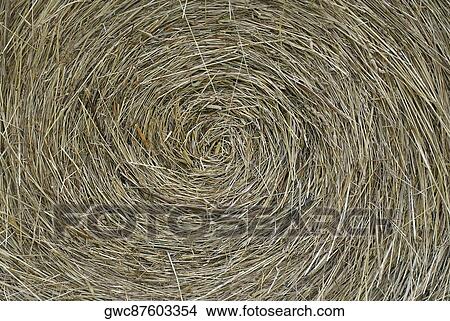 Picture - Close-up of a hay bale. Fotosearch