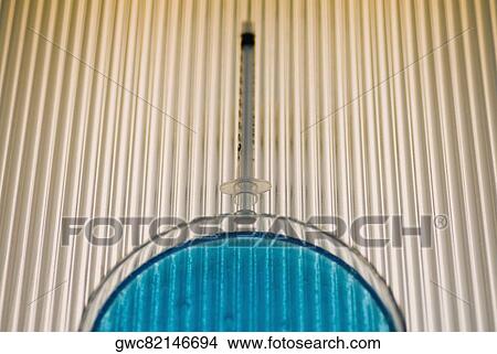 Close-up of a petri dish with a syringe View Large Photo Image Picture - Close-up of a petri dish with a syringe. Fotosearch
