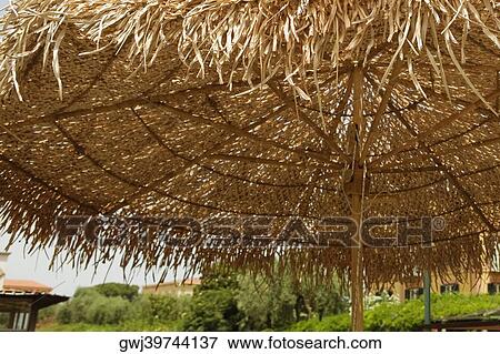 Close-up of a sunshade, Sorrento, Sorrentine Peninsula, Naples Province, Campania, Italy View Large Photo Image Stock Photo - Close-up of a sunshade, Sorrento, Sorrentine Peninsula, Naples Province, Campania, Italy. Fotosearch