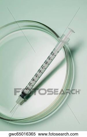 Stock Photography - Close-up of a syringe in a petri dish. Fotosearch