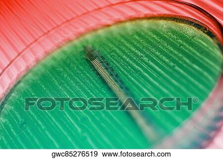 Close-up of a syringe with a petri dish View Large Photo Image Stock Photo - Close-up of a syringe with a petri dish. Fotosearch
