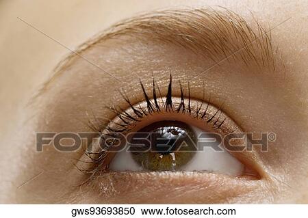 Close-up of a woman's eye View Large Photo Image Stock Image - Close-up of a woman's eye. Fotosearch