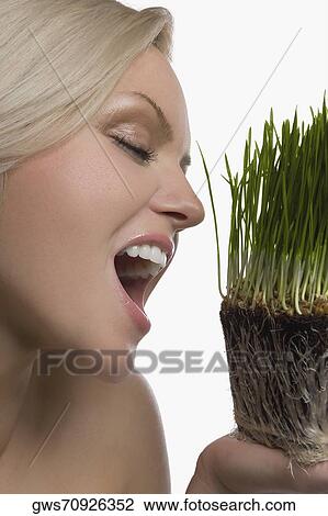Close-up of a young woman eating wheatgrass View Large Photo Image Stock Image - Close-up of a young woman eating wheatgrass. Fotosearch
