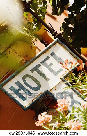Close-up of an information board with flowers, Sorrento, Sorrentine Peninsula, Naples Province, Campania, Italy View Large Photo Image Stock Photograph - Close-up of an information board with flowers, Sorrento, Sorrentine Peninsula, Naples Province, Campania, Italy. Fotosearch