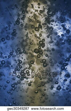 Close-up of bubbles View Large Photo Image Stock Photo - Close-up of bubbles. Fotosearch