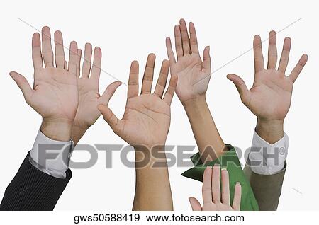 Close-up of business executives raising their hands View Large Photo Image Stock Photo - Close-up of business executives raising their hands. Fotosearch