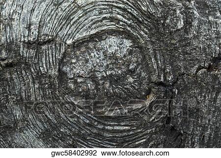 Close-up of knotted wood View Large Photo Image Stock Image - Close-up of knotted wood. Fotosearch