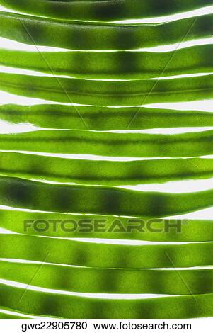 Close-up of leaves View Large Photo Image Stock Image - Close-up of leaves. Fotosearch