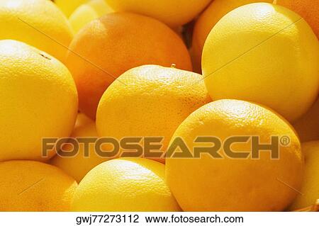 Close-up of oranges, Genoa, Liguria, Italy View Large Photo Image Stock Image - Close-up of oranges, Genoa, Liguria, Italy. Fotosearch