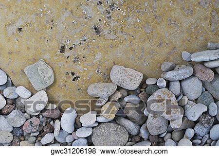 Close-up of pebbles on rock surface View Large Photo Image Stock Photo - Close-up of pebbles on rock surface. Fotosearch