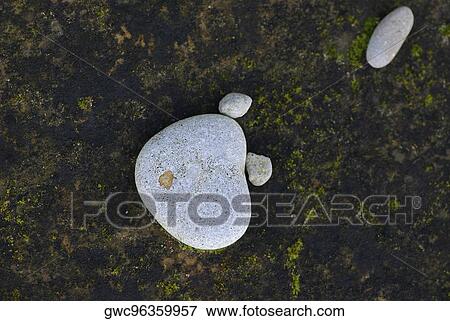 Close-up of pebbles View Large Photo Image Stock Photo - Close-up of pebbles. Fotosearch