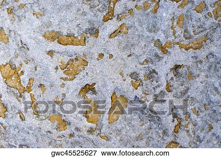 Close-up of rock surface View Large Photo Image Stock Photo - Close-up of rock surface. Fotosearch