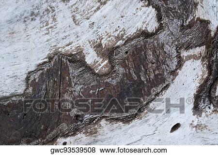 Close-up of textured wooden surface View Large Photo Image Stock Photo - Close-up of textured wooden surface. Fotosearch