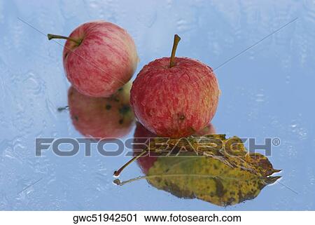 Close-up of two apples on a glass View Large Photo Image Stock Image - Close-up of two apples on a glass. Fotosearch