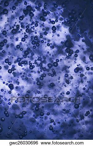Stock Photograph - Close-up of water droplets on a blue background. Fotosearch