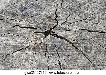 Close-up of weathered log View Large Photo Image Stock Photo - Close-up of weathered log. Fotosearch